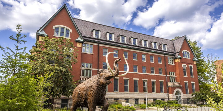 The mammoth in front of the Natural History Building.