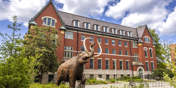 The mammoth statue in front of The Natural History Building.