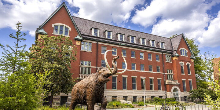 The natural history building and the mammoth on a sunny day.