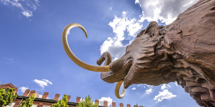 The mammoth in front of a blue sky and looking up at the chemistry building.