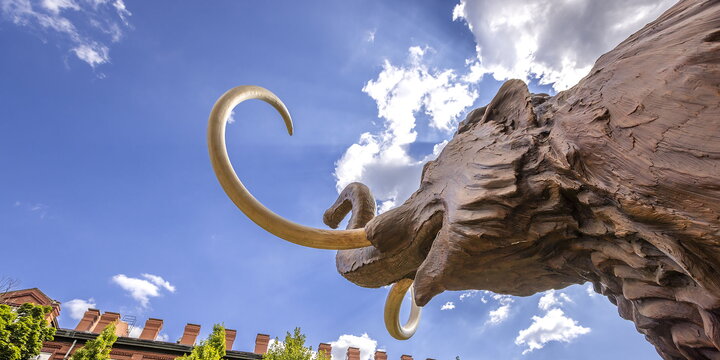 An upshot of the mammoth with Noyes Lab in the background on a sunny day.