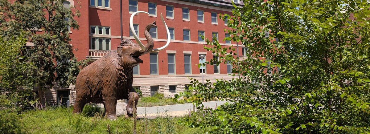 Mammoth in front of Natural History Building