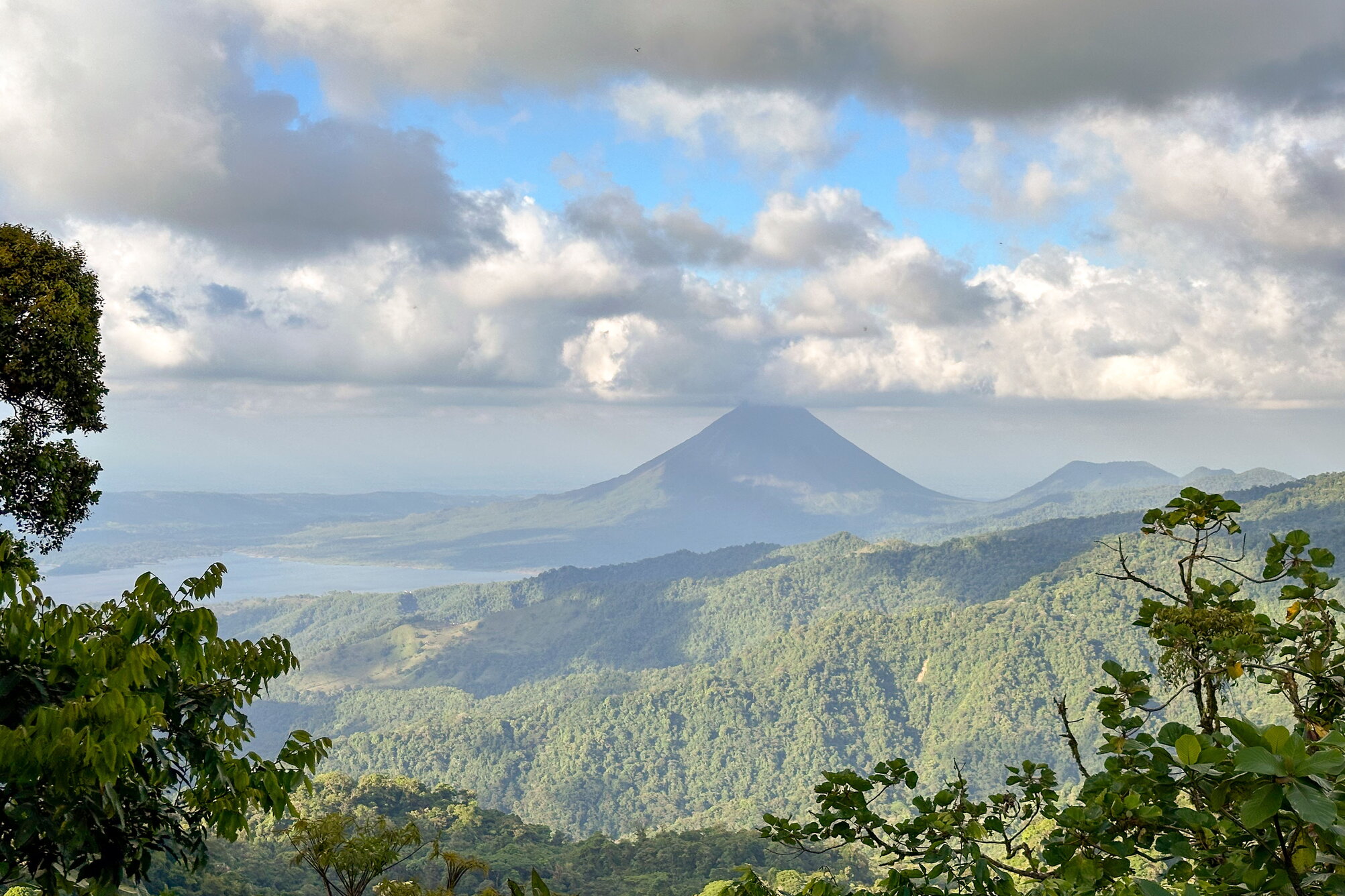 A jungle with a volcano in the background