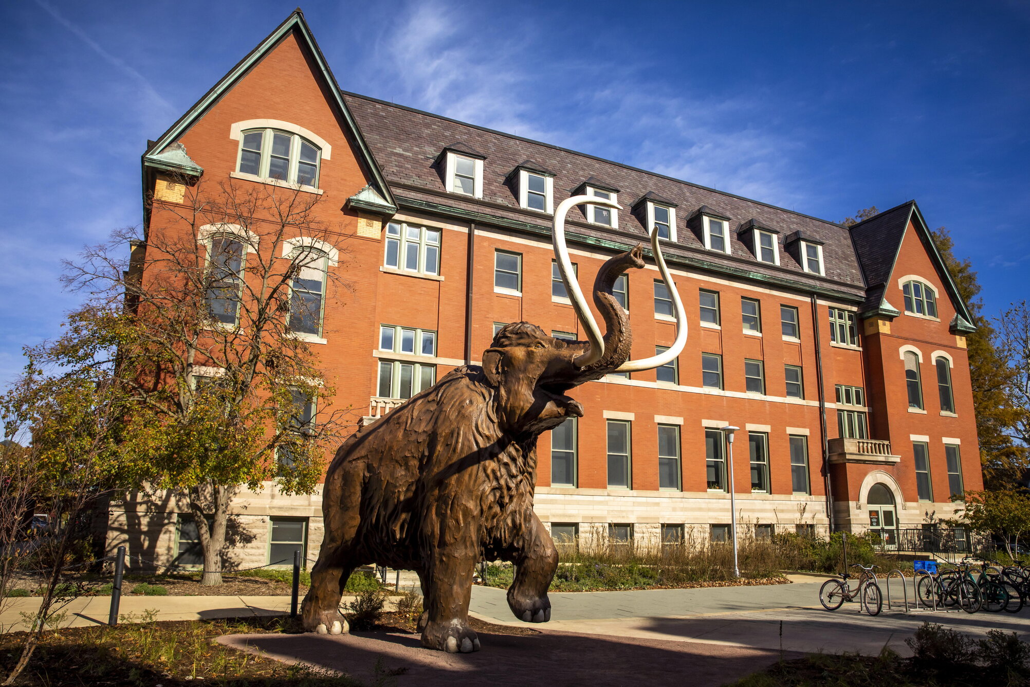 The Mammoth statue in front of the Natural History Building
