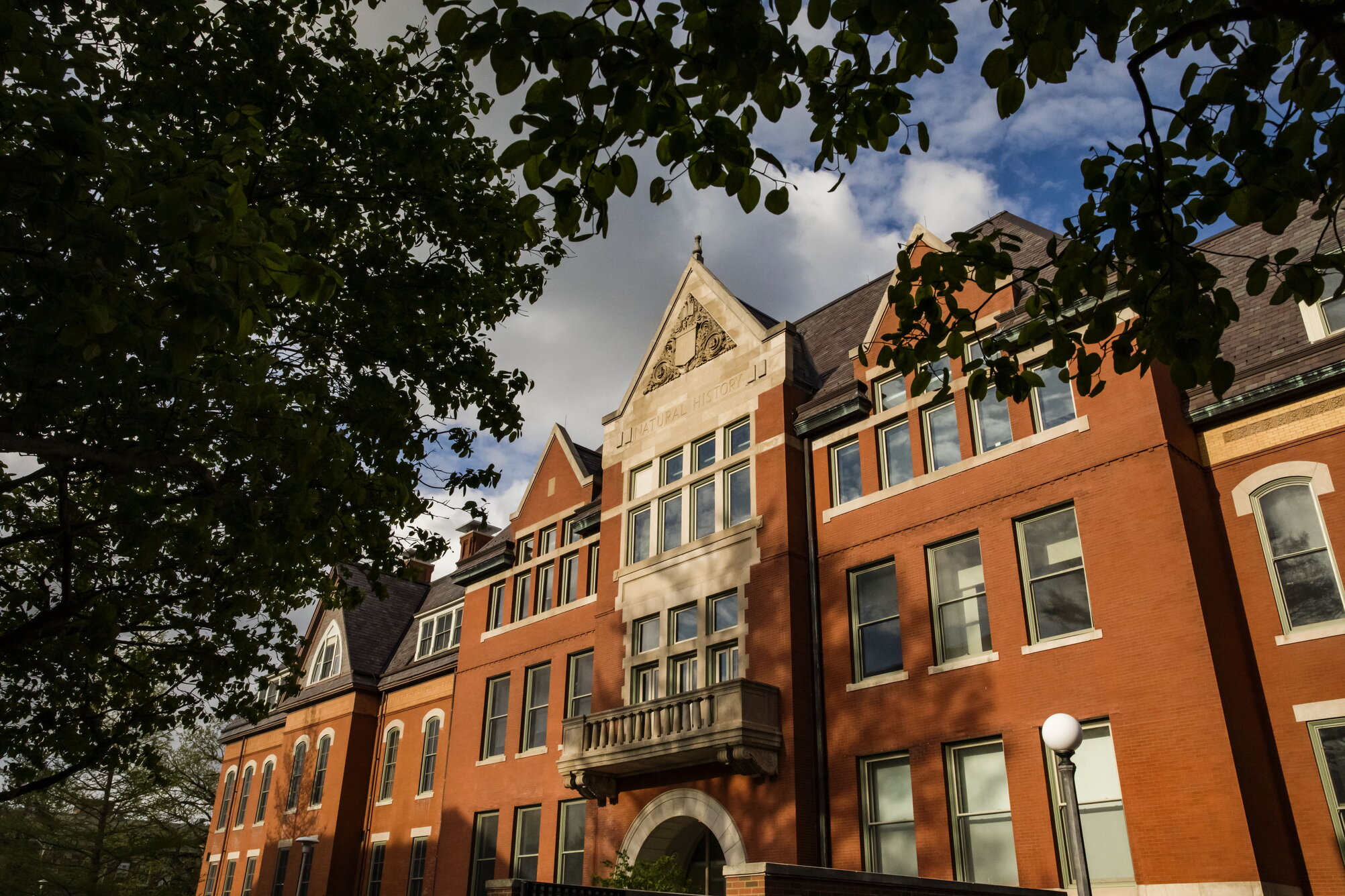 The Natural history Building at the University of Illinois