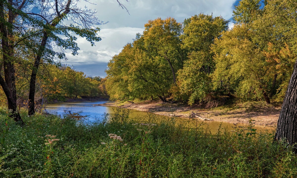 Sangamon river