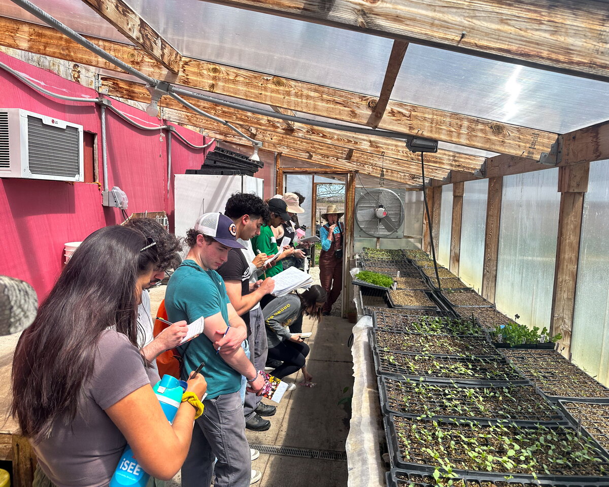 Students looking at plants being propagated.