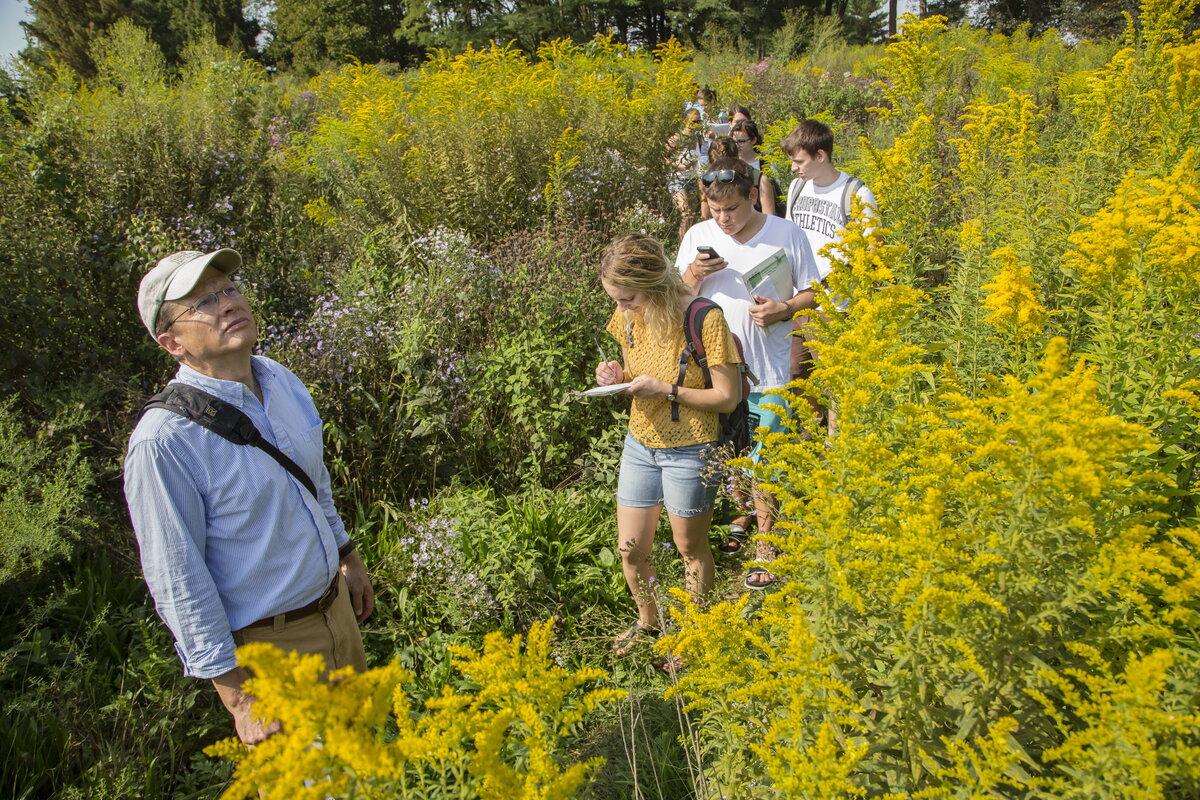 A man standing in a field of goldenrod with students following behind him.