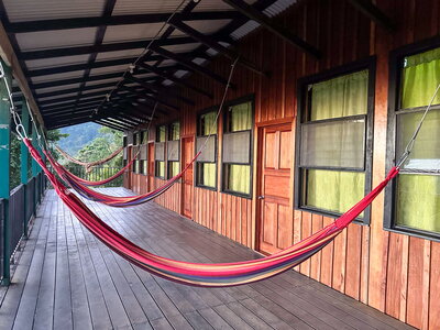 A set of hammocks lined up on a wooden deck.